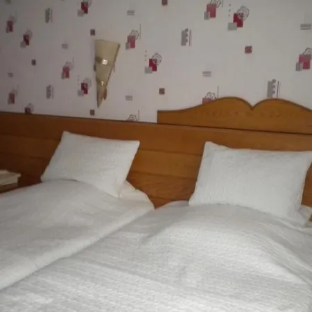 Restaurant A L'ange Hotel 2*